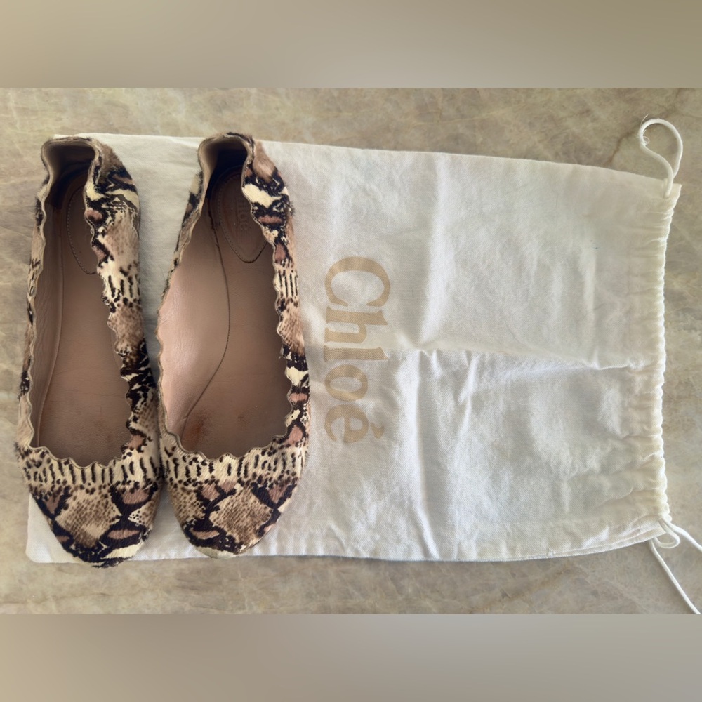 Chloé Scalloped Ballet Flats Calf Hair Snakeskin Print